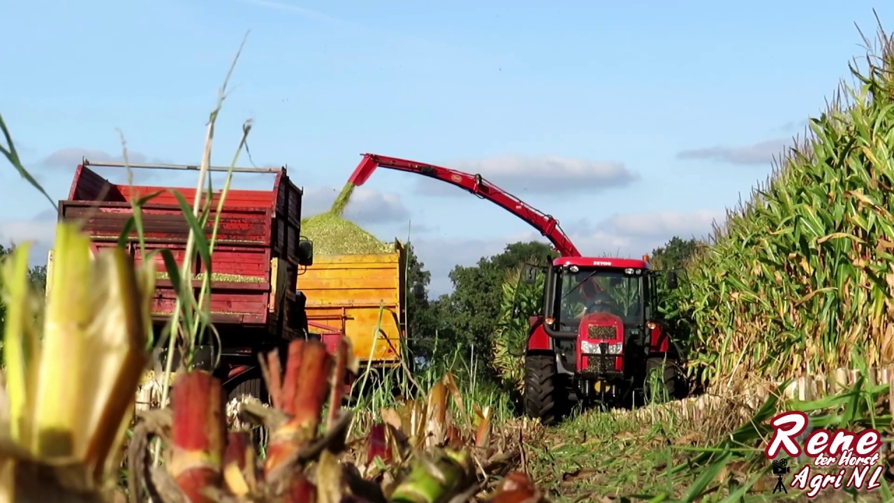 2019 | Mais Hakselen | 3x Zetor Ford + Schuitemaker | 4 rijer vicon | Fendt | NL