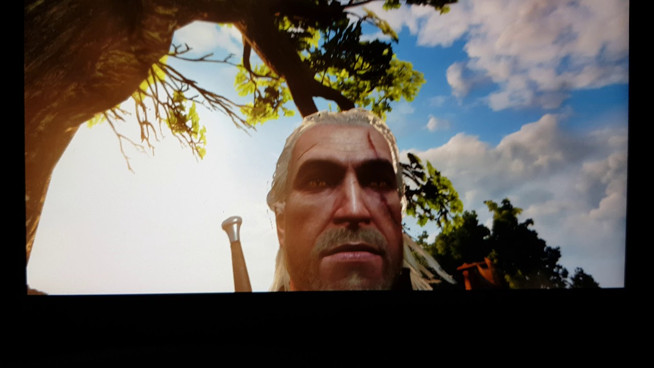witcher 3 switch Geralt ingame face