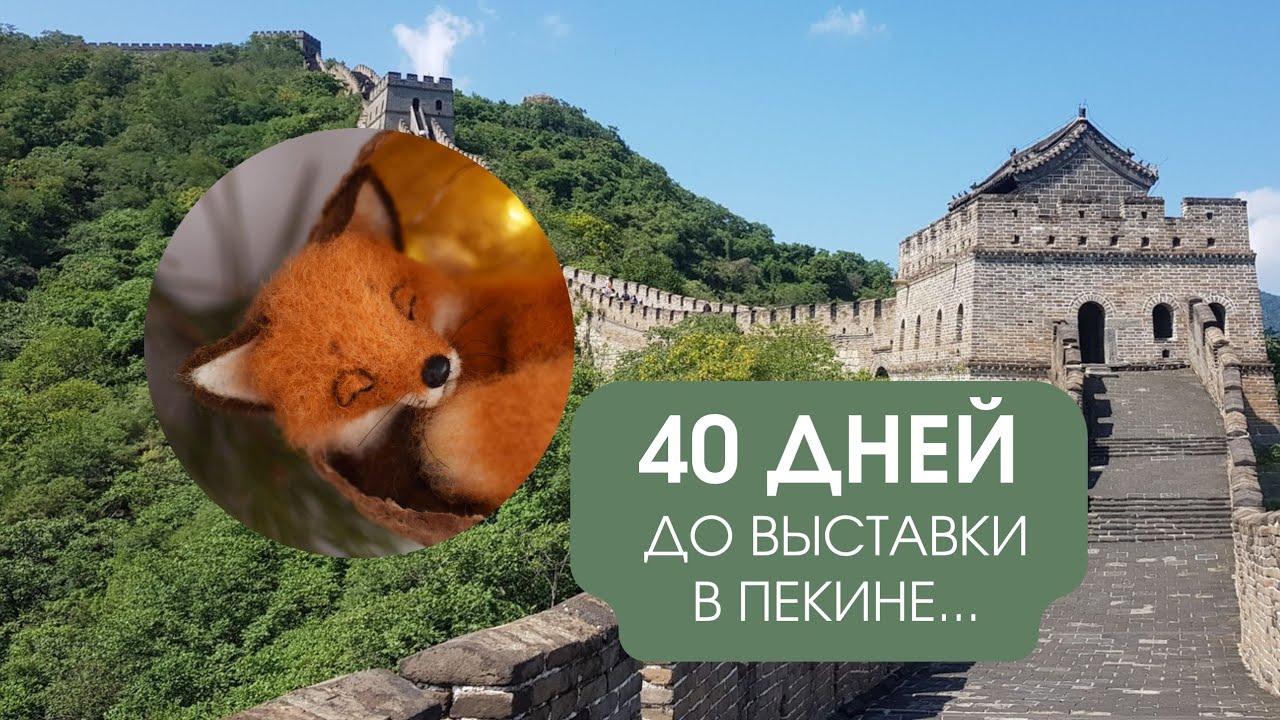 40 дней до выставки в Китае. Время бежит!