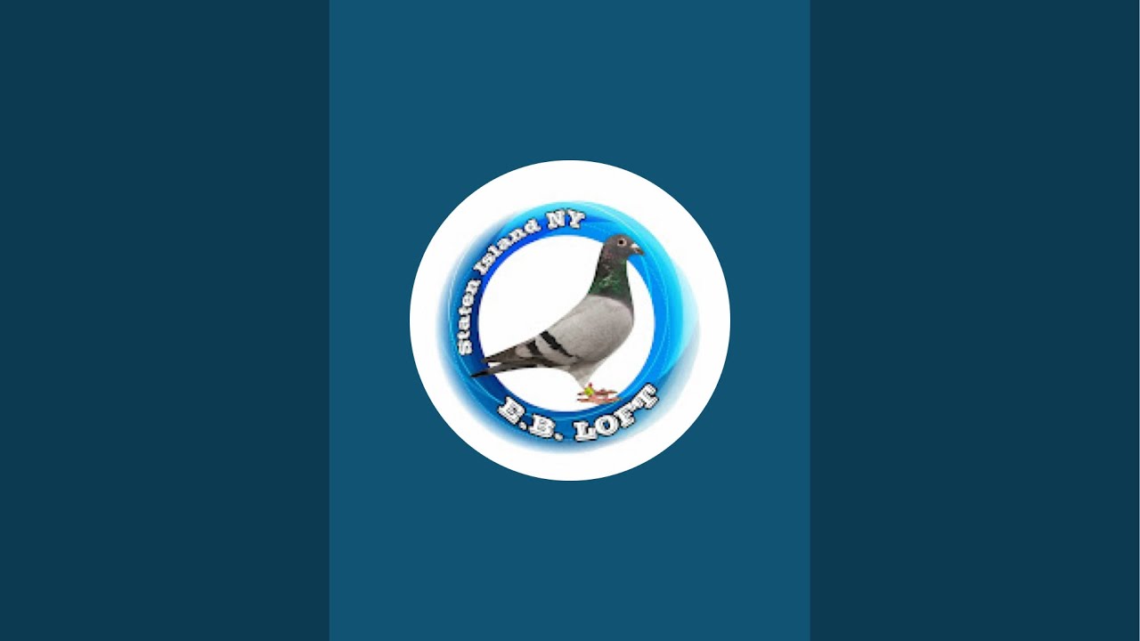 E.B Loft Racing Pigeons is live!