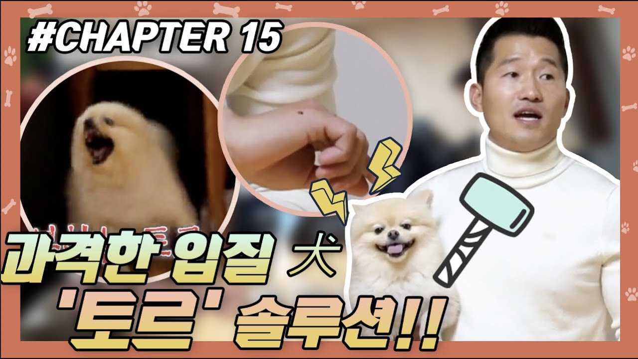 #CHAPTER15 |  과격한 입질犬 토르 훈련기 !! [개는 훌륭하다] #강형욱 #개통령 #강훈련사 ㅣ KBS방송