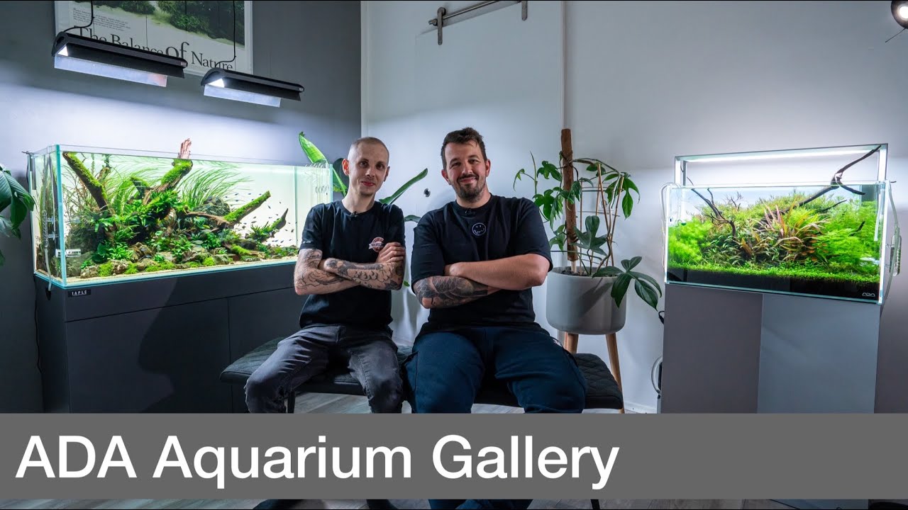 Private ADA Gallery in Österreich! | Liquid Nature on Tour