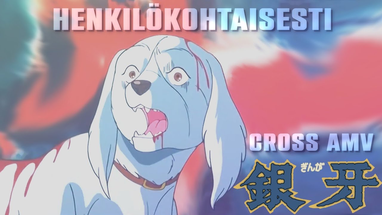 Henkilökohtaisesti (Cross AMV) (Kotae Expo)