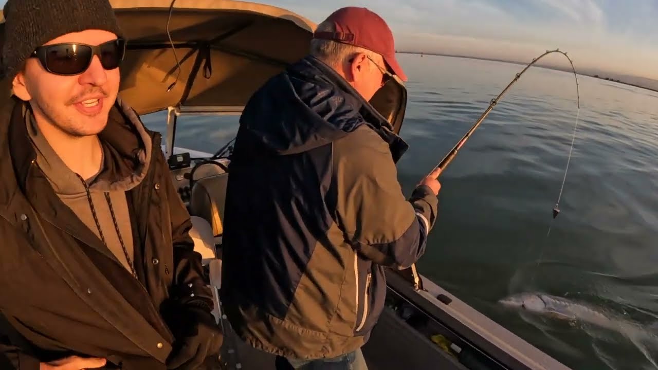 Sturgeon Fishing Delta CA 2022