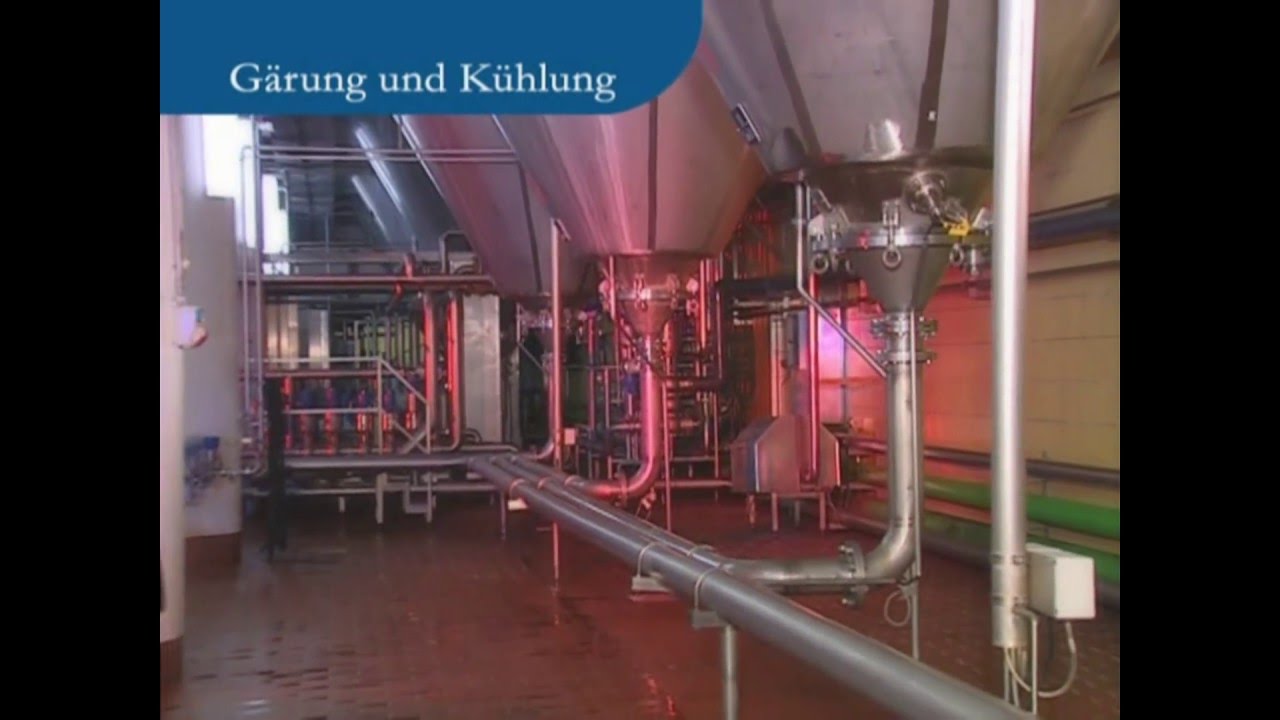 Wie wird Bier gemacht? - Paulaner stimmt auf Brauereiführung ein