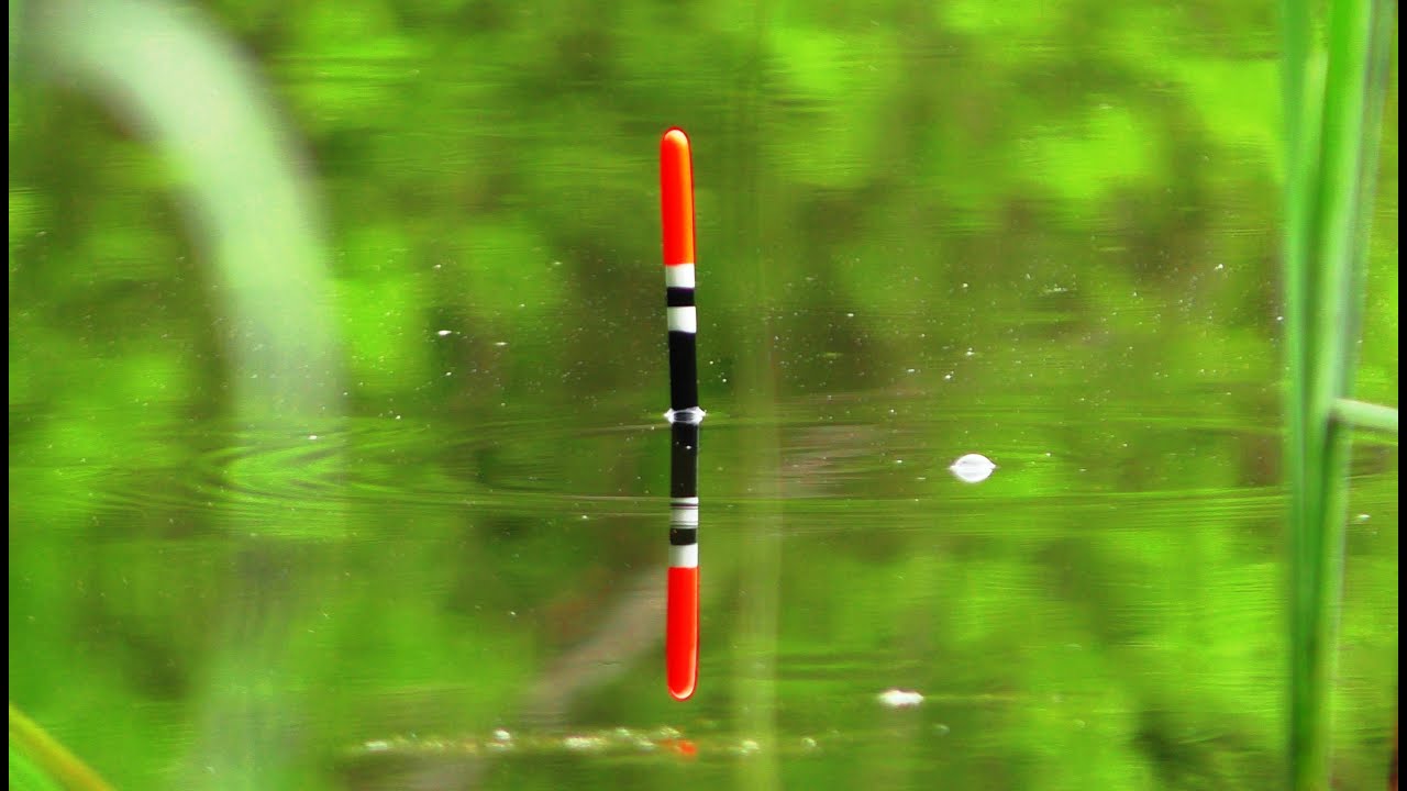 ТАКИЙ КЛЬОВ, ЩО ЗАБУВ ПРО ВСЕ!🐟КРУПНИЙ КАРАСЬ НА ПОПЛАВОК НА УДОЧКУ🎣