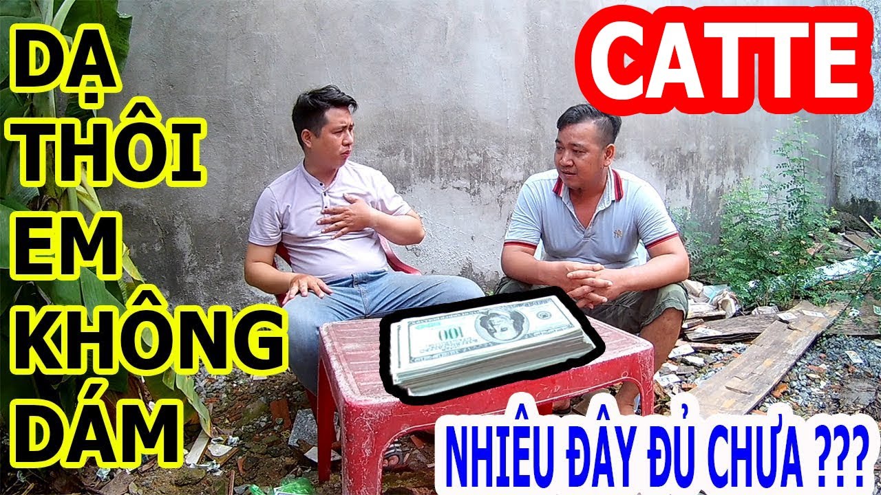Catte Hay 2020 | Hướng Dẫn C&aacute;ch Chơi B&agrave;i Catte Sao Cho Đ&uacute;ng...To&agrave;n B&agrave;i Đẹp