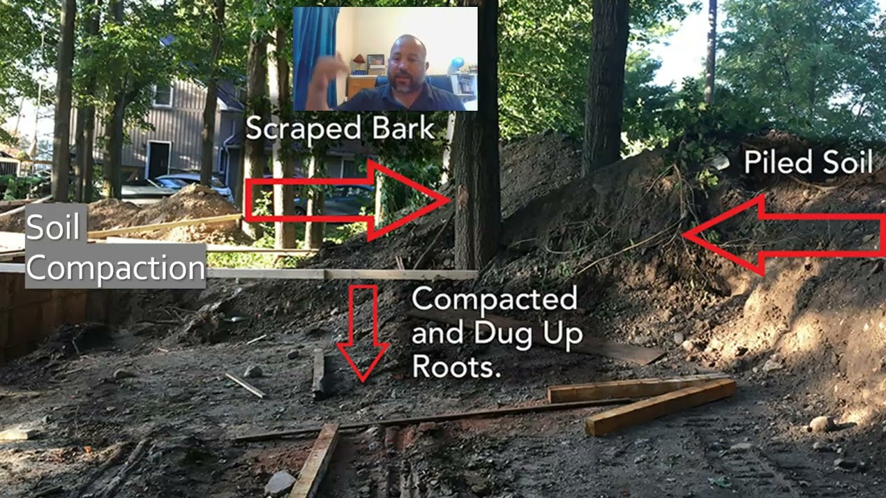 Trees and Construction