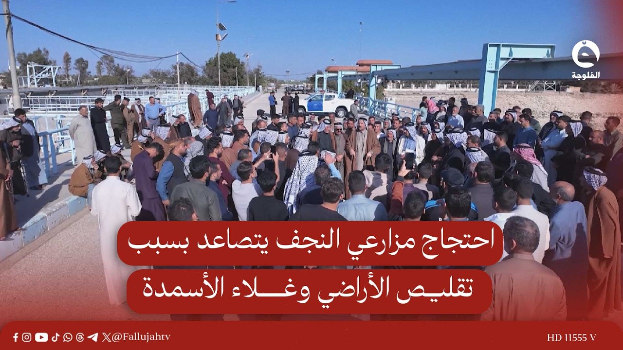 احتجاج مزارعي النجف يتصاعد بسبب تقليص الأراضي وغلاء الأسمدة #قناة_الفلوجة #أخبار