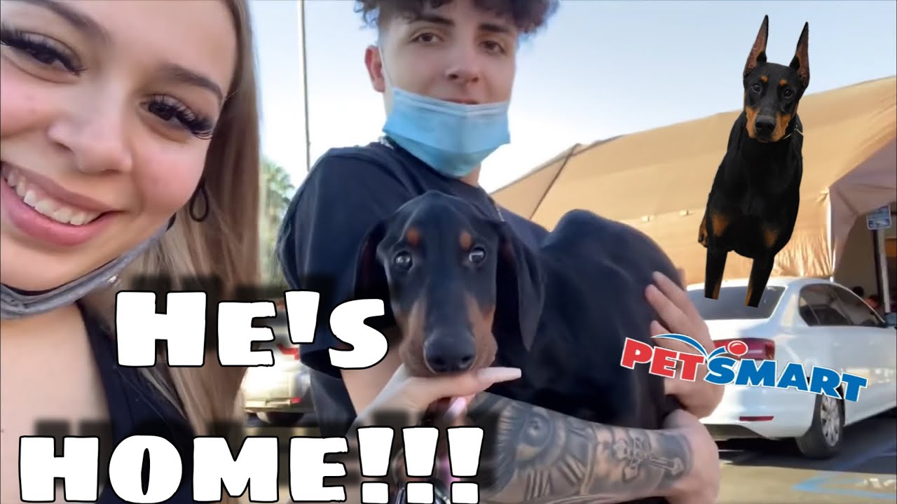 WE GOT A PUPPY !!