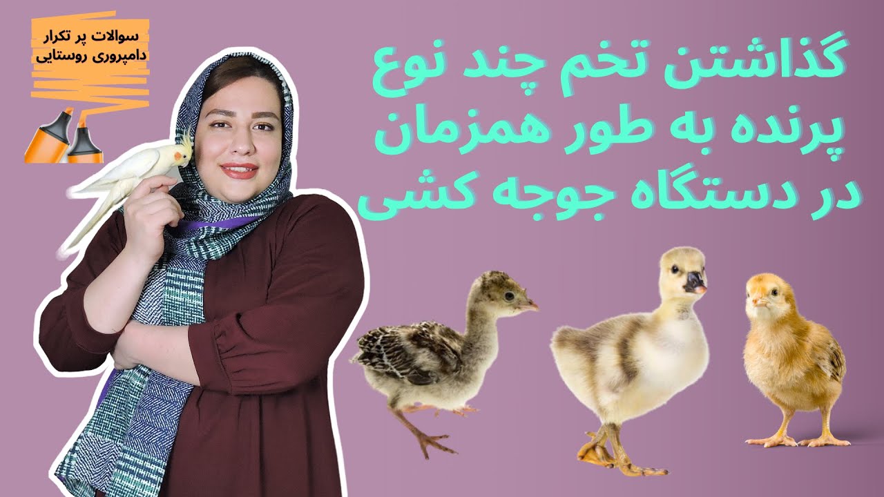 گذاشتن تخم چند نوع پرنده به طور همزمان در دستگاه جوجه کشی | سوالات متداول کار با دستگاه جوجه کشی