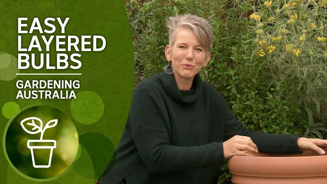 How to layer bulbs for colour all spring