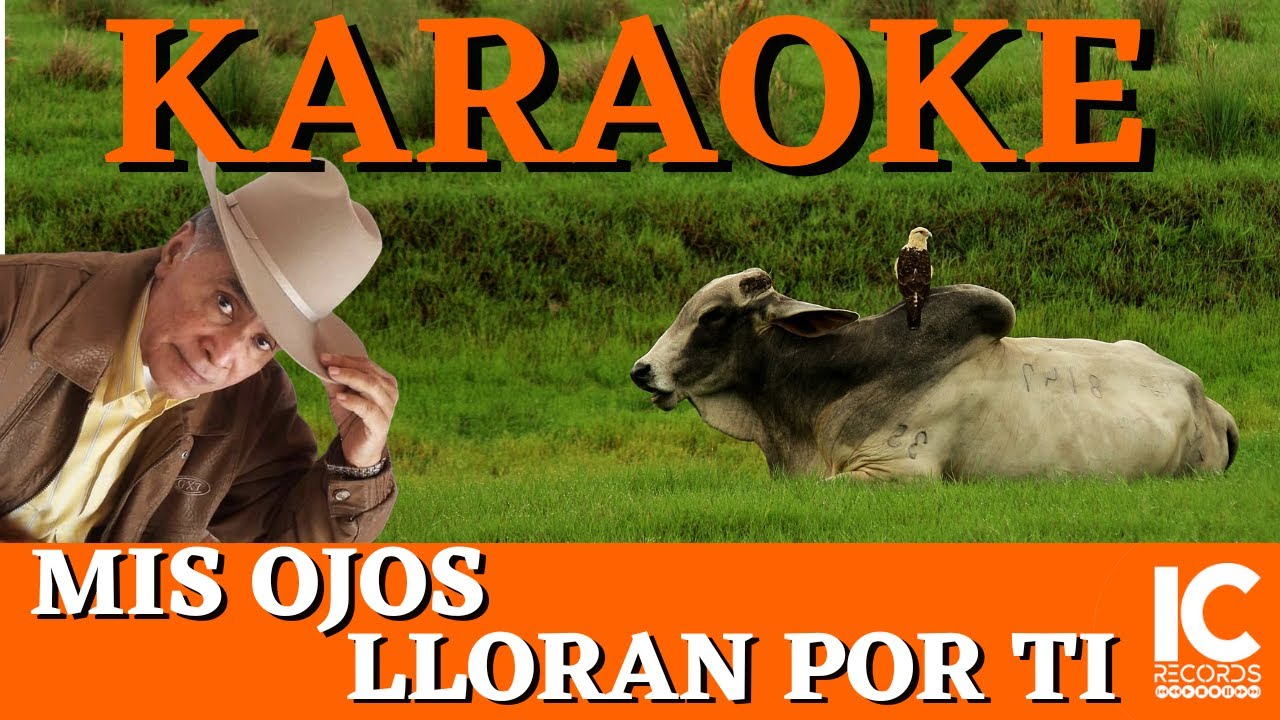 Mis Ojos Lloran Por Ti - Jesús Moreno .  Karaoke