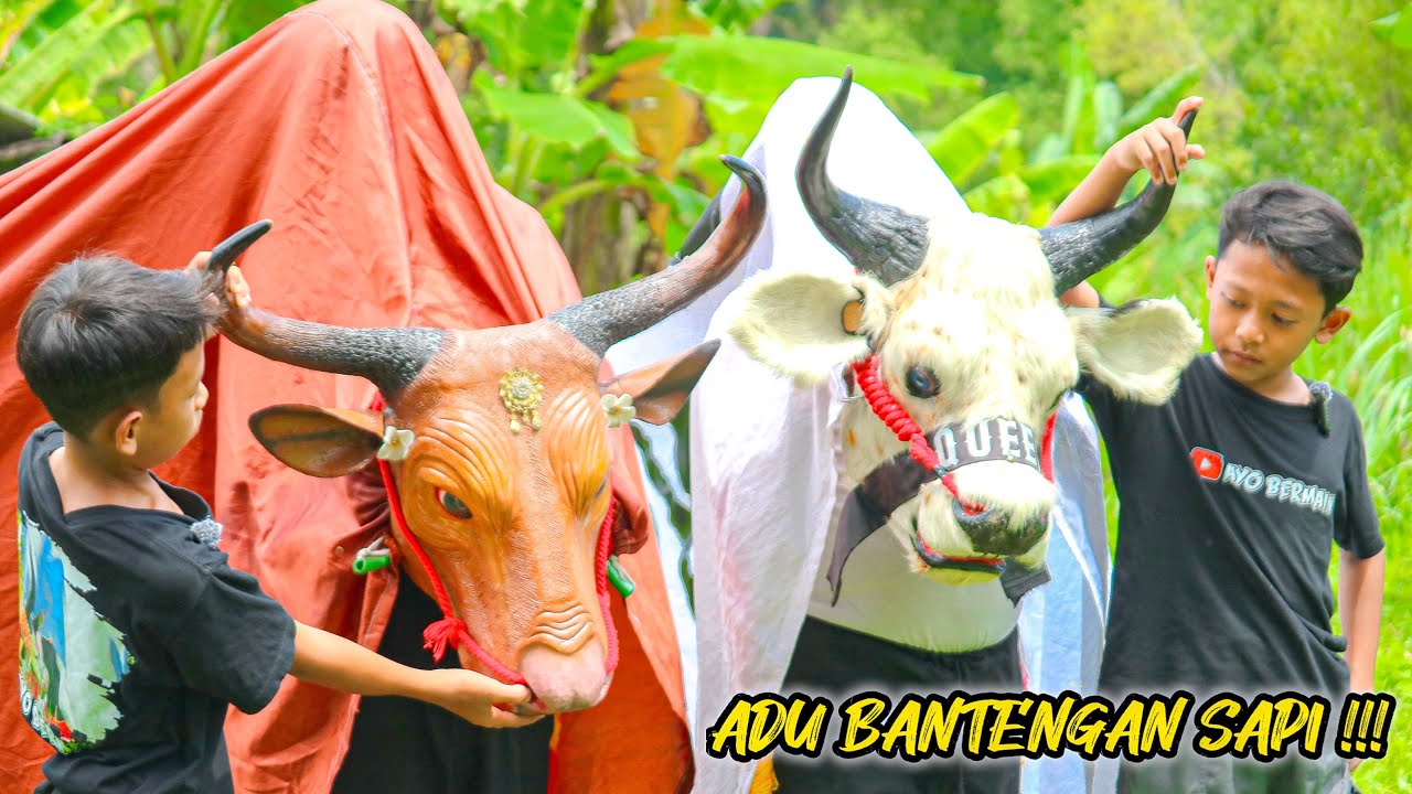 ADU BANTENGAN SAPI ‼️😲#barongan #bantengan #mberot 
