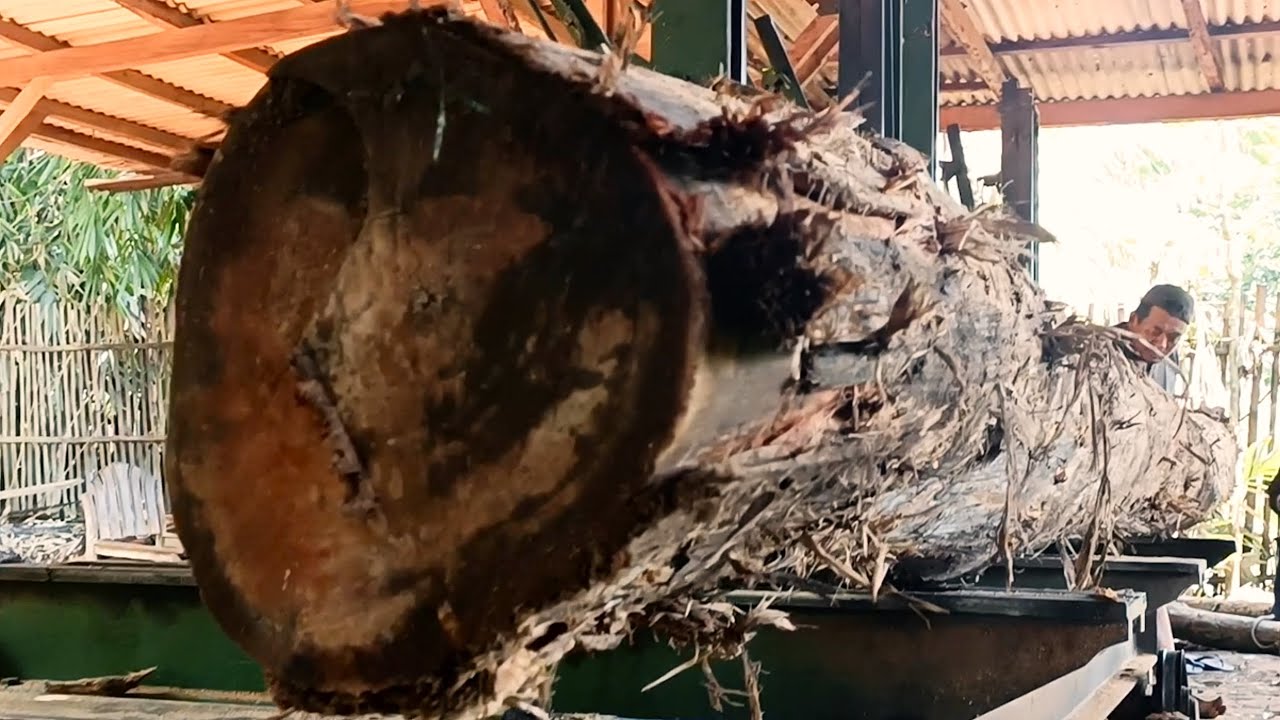 Sawing very long logs turns them into beautiful beams as traditional house materials