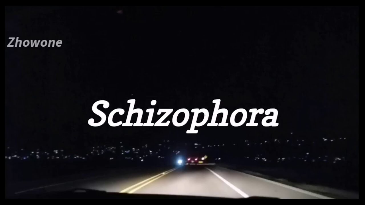 Et meg - Schizophora [English sub]