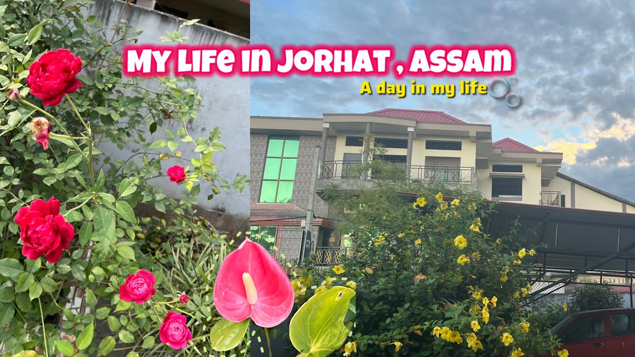 Slow & Peaceful Life in Assam 🌻💭 | My Life in North-East India ✨” | jorhat Assam 