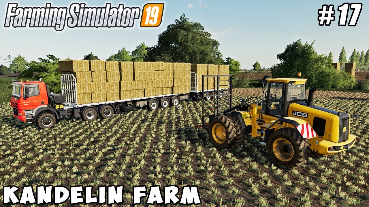 Bale carriage, plowing, selling wheat | Kandelin Farm | Farming simulator 19 | Timelapse #17