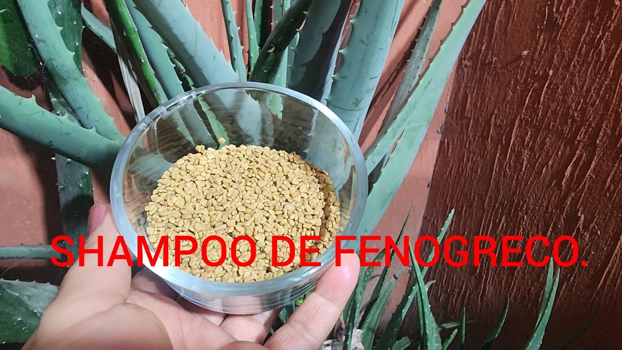 SHSMPOO  DE FENOGRECO ESPESADO CON CMC.