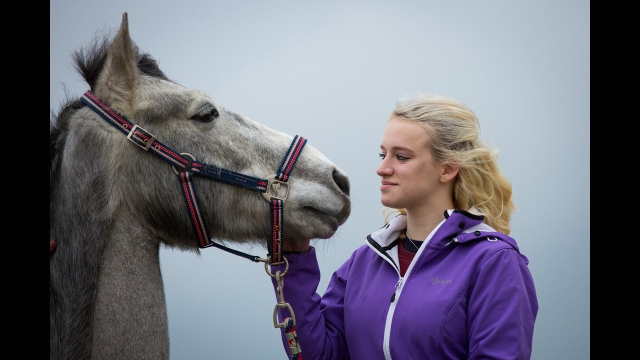 Bit beleeft paardencoaching