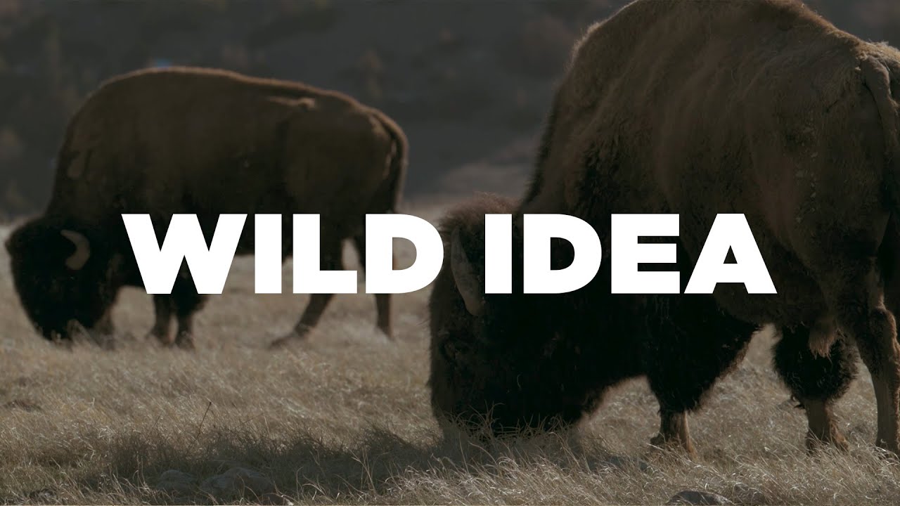 Wild Idea x Moore & Giles (Vertical/Mobile)