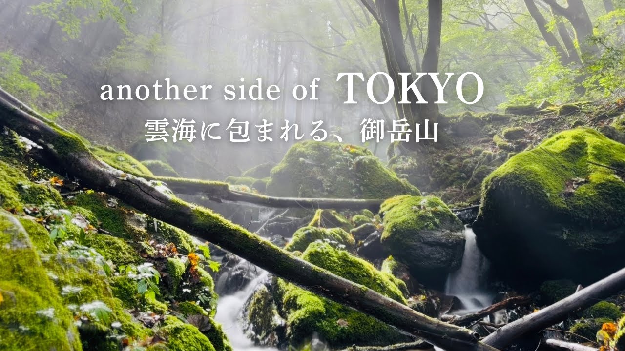 Tokyo Day Trip Okutama | Ghibli-Like Forest Hike, Japan Walk