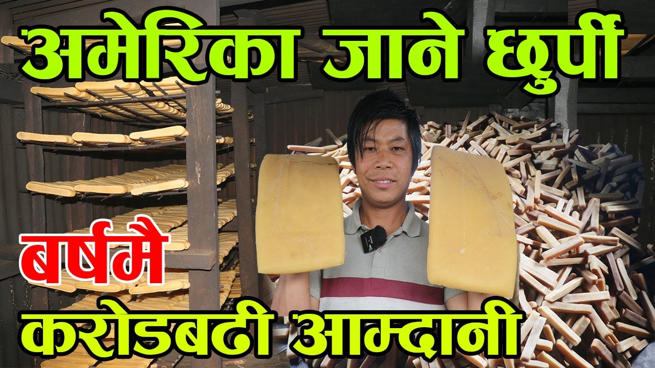 अमेरिका, जापानमा छुर्पी बेचेर बर्षमा १ करोड ५० लाख कमाउने हर्क राई ! कुकुरले खाने छुर्पी|kiranpaudel