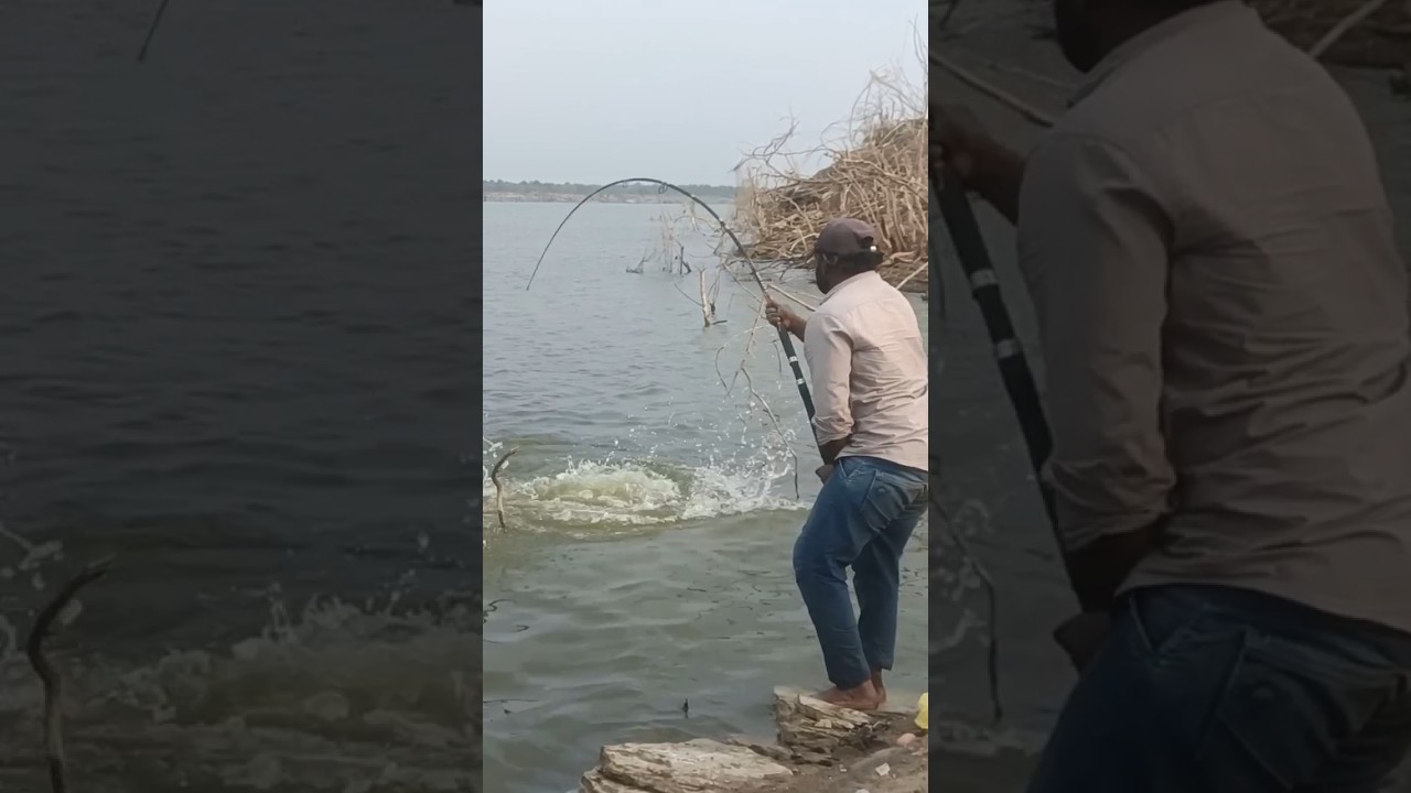 //Hook fishing 🎣 unique style catching big rohu fish in the river//