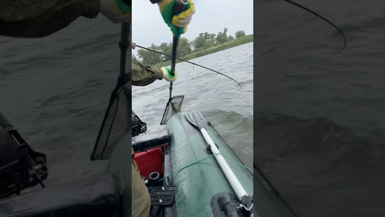 Крупная щука сломала спиннинг и подсак&hellip;