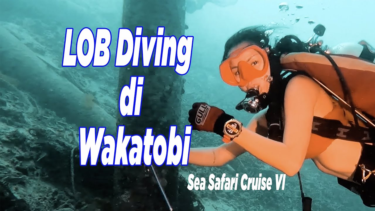 LOB Diving di Wakatobi — Sea Safari Cruise VI, 6 hari 5 malam