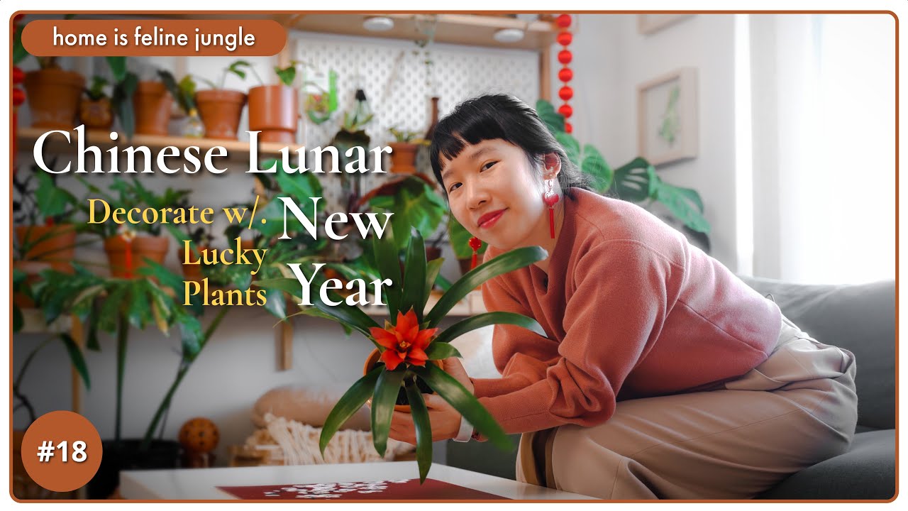 Must-have Lucky Plants for 2023 & My Favorite Decor Tips for Good Luck, Wealth And Fortune #fengshui