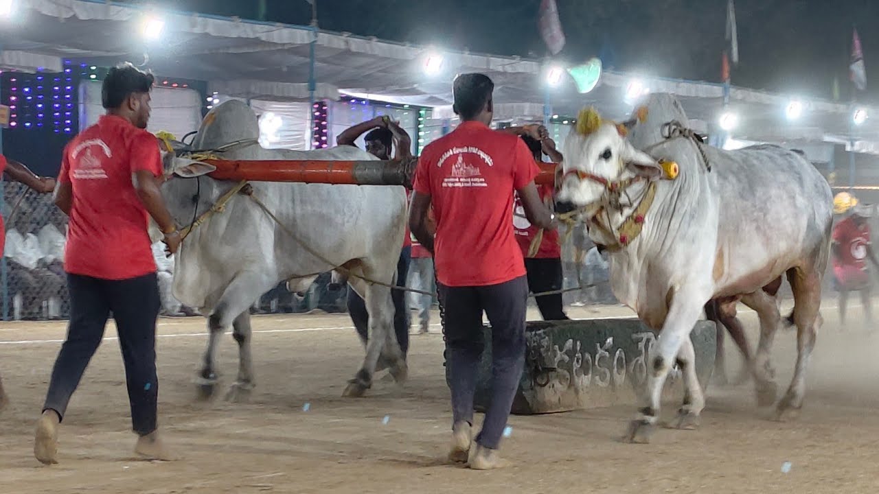 2026-రెంటచింతల.న్వూకేటగిరి.14వ జత.దోప్పలపూడి ప్రతాప్ చౌదరి గారు వినీత్ చౌదరి గారు రాజుపాలెం గుంటూరు