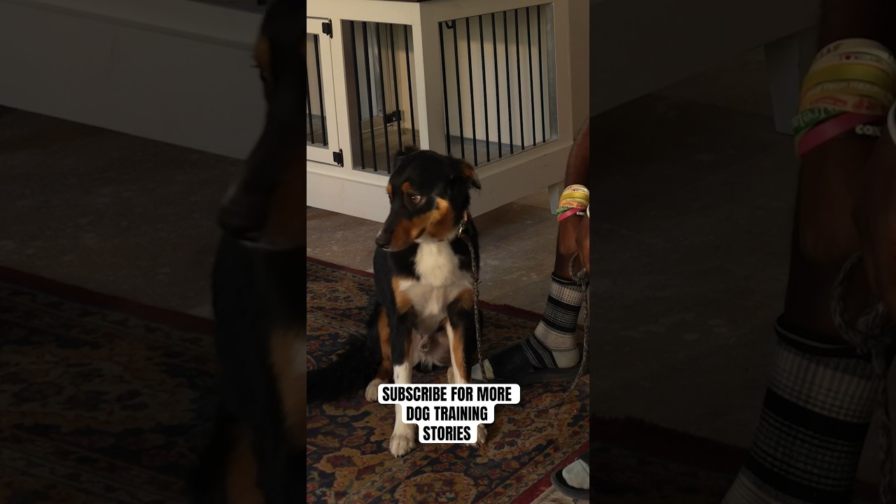He Was So Afraid Of Everything! 