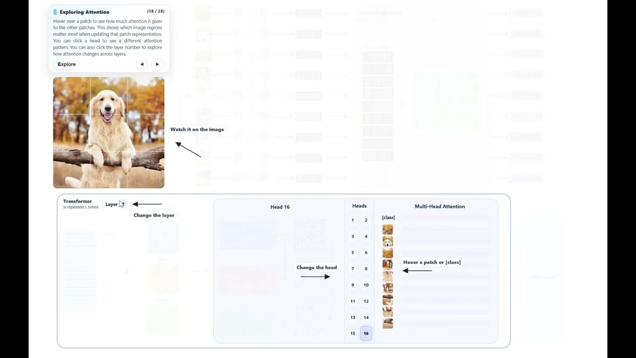 ViT-Explainer: An Interactive Walkthrough of the Vision Transformer Pipeline