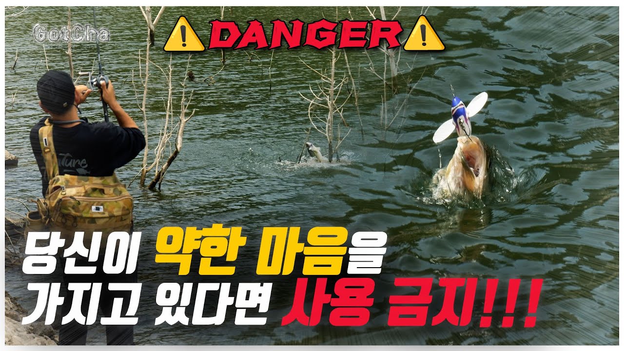 배스들이 탑워터를 환장하고 때려줍니다!!!(feat. 박성완 )