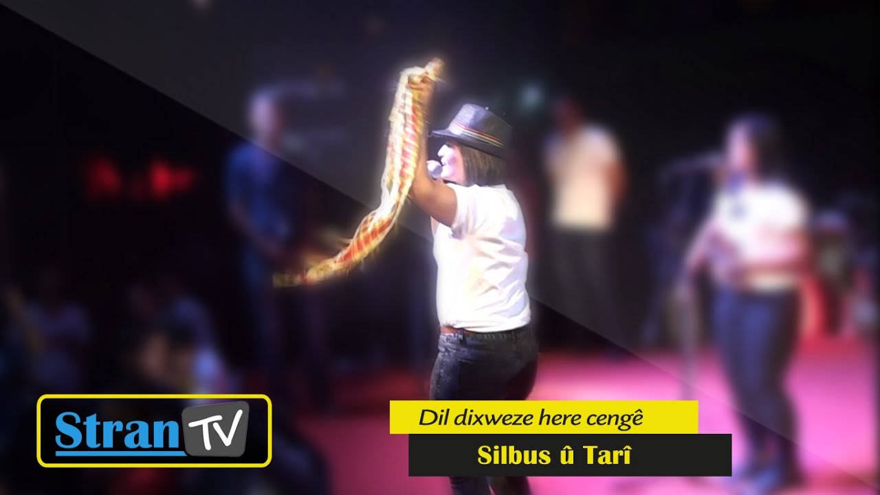 Silbus û Tarî - Dil dixweze here cengê Stran TV