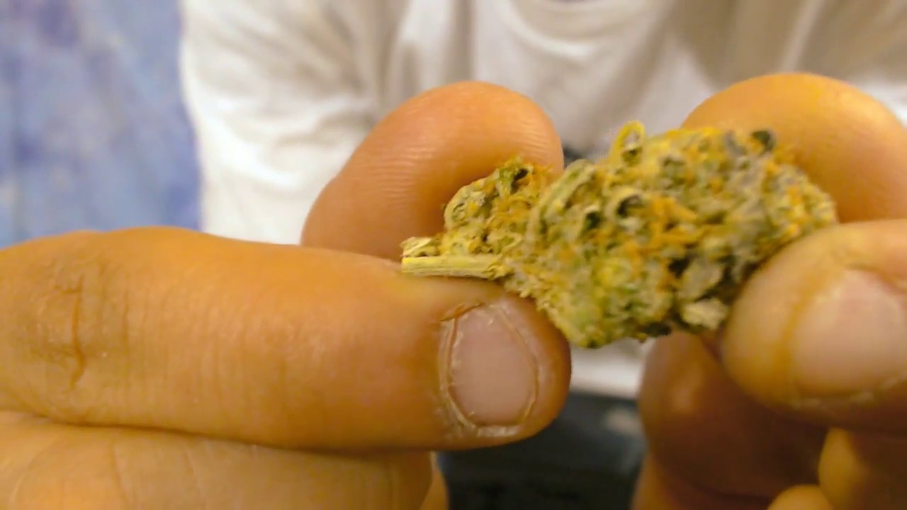 zooming in on some Cookies from Canasociety