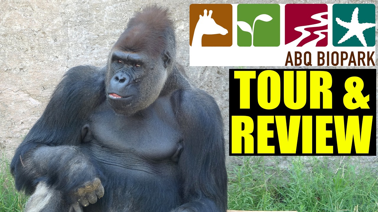 ABQ Biopark Zoo (Albuquerque New Mexico) Tour & Review with The Legend