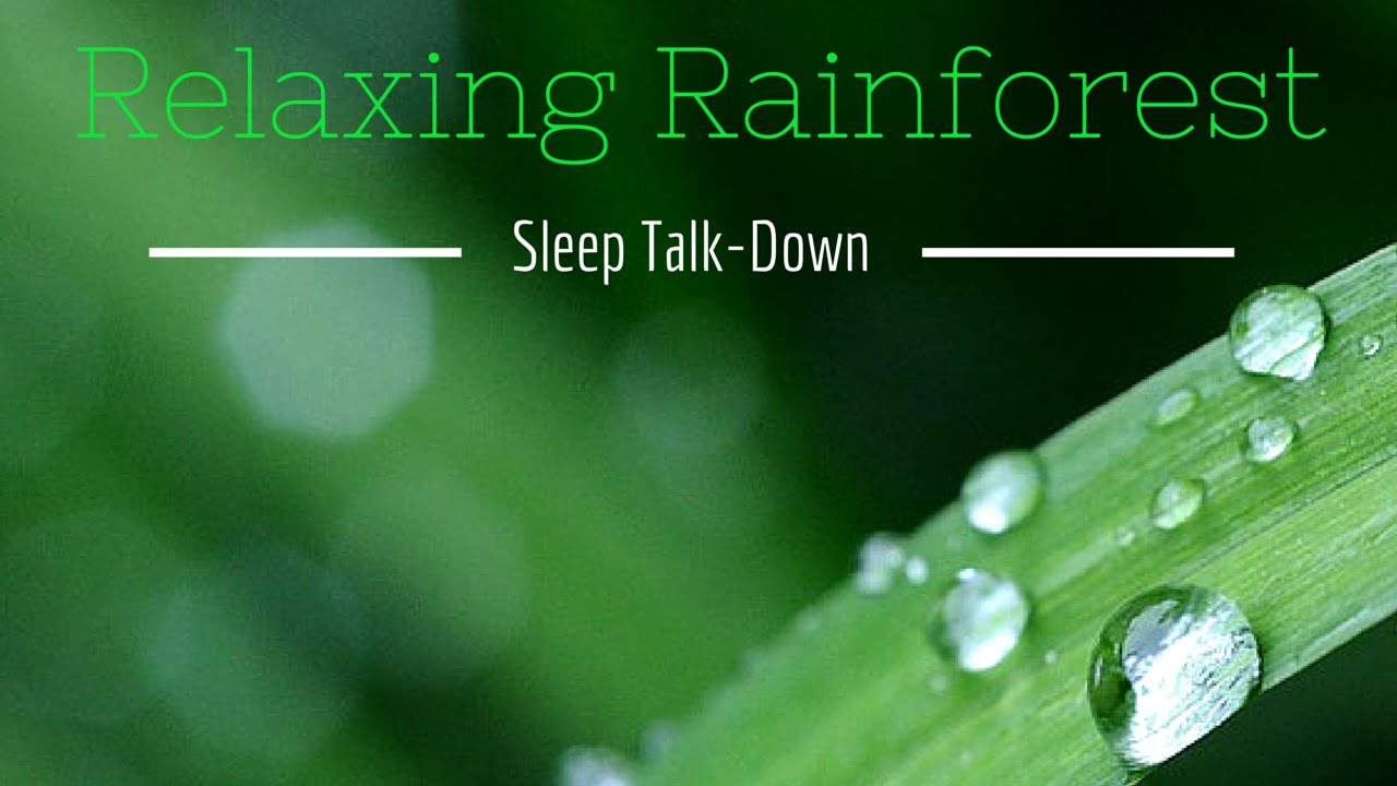 Guided SLEEP Meditation | Rainforest SLEEP Talk-Down | Heal Insomnia