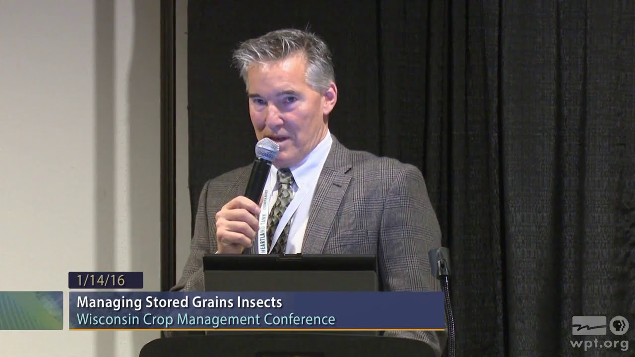Managing Stored Grains Insects | University Place