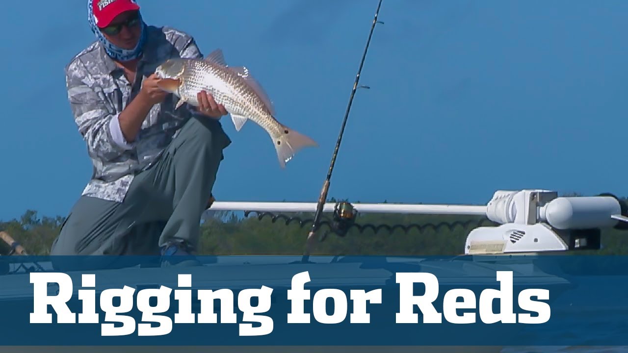 Inshore Redfish Action - Florida Sport Fishing TV - Best Rigs, Baits, Tactics