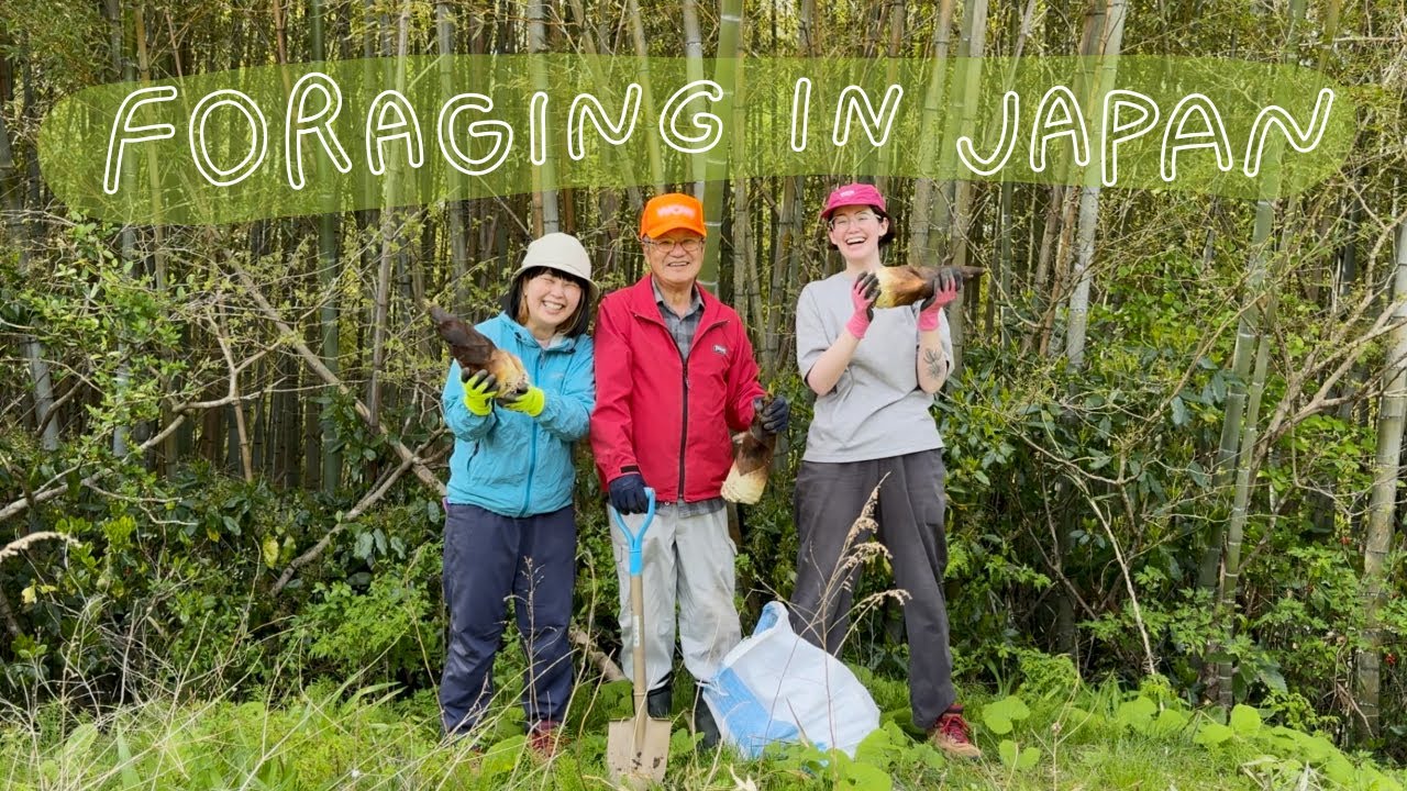 Life in Japan | harvesting wild vegetables