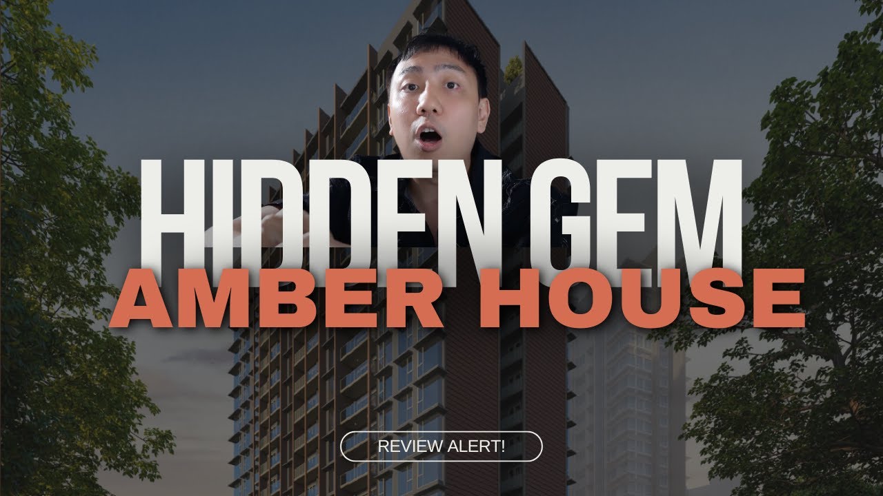 Amber House -The Hidden Gem of D15?  🏡