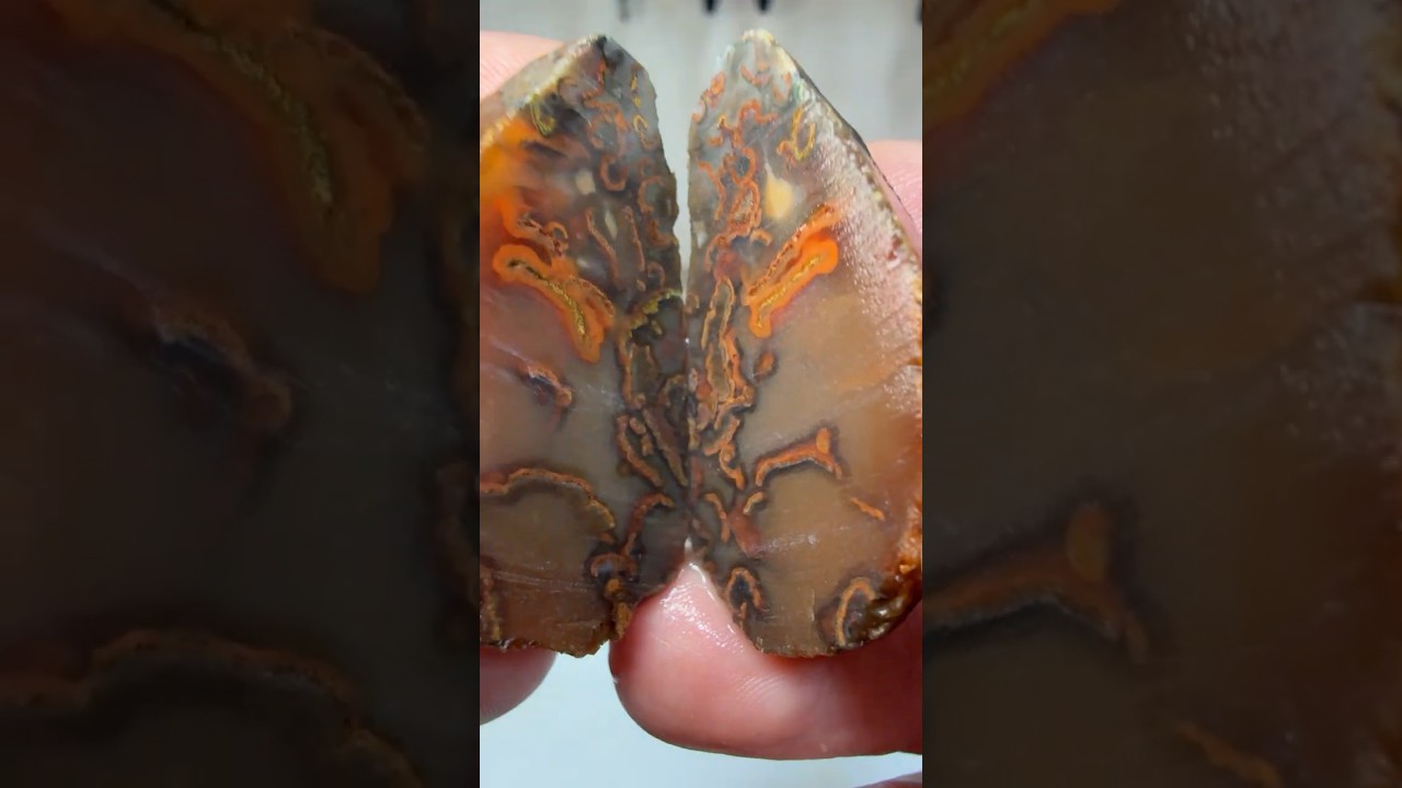 Она думала, что победила&hellip; А потом я свою подстриг 😳