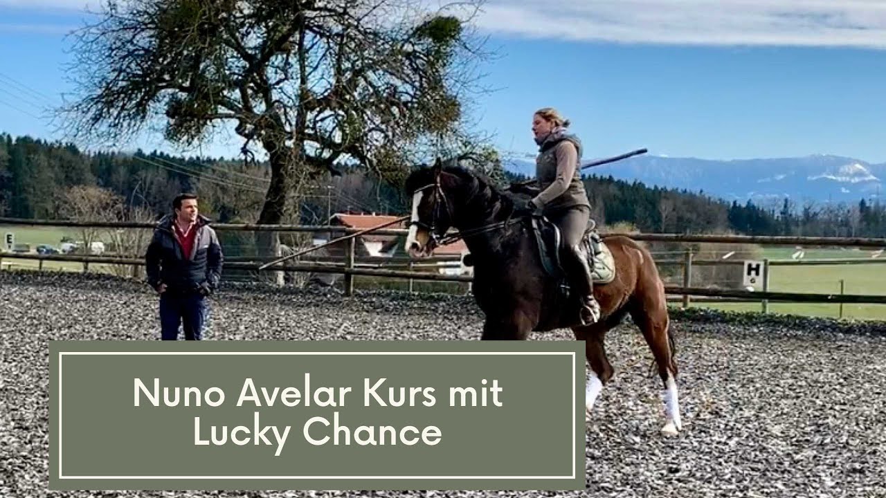 Nuno Avelar Kurs März 2020