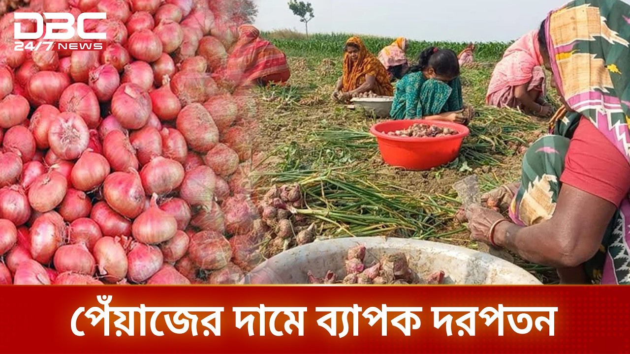 রাজবাড়ীর বাজারে হঠাৎ কমলো পেঁয়াজের দাম | Rajbari | Onion | DBC NEWS