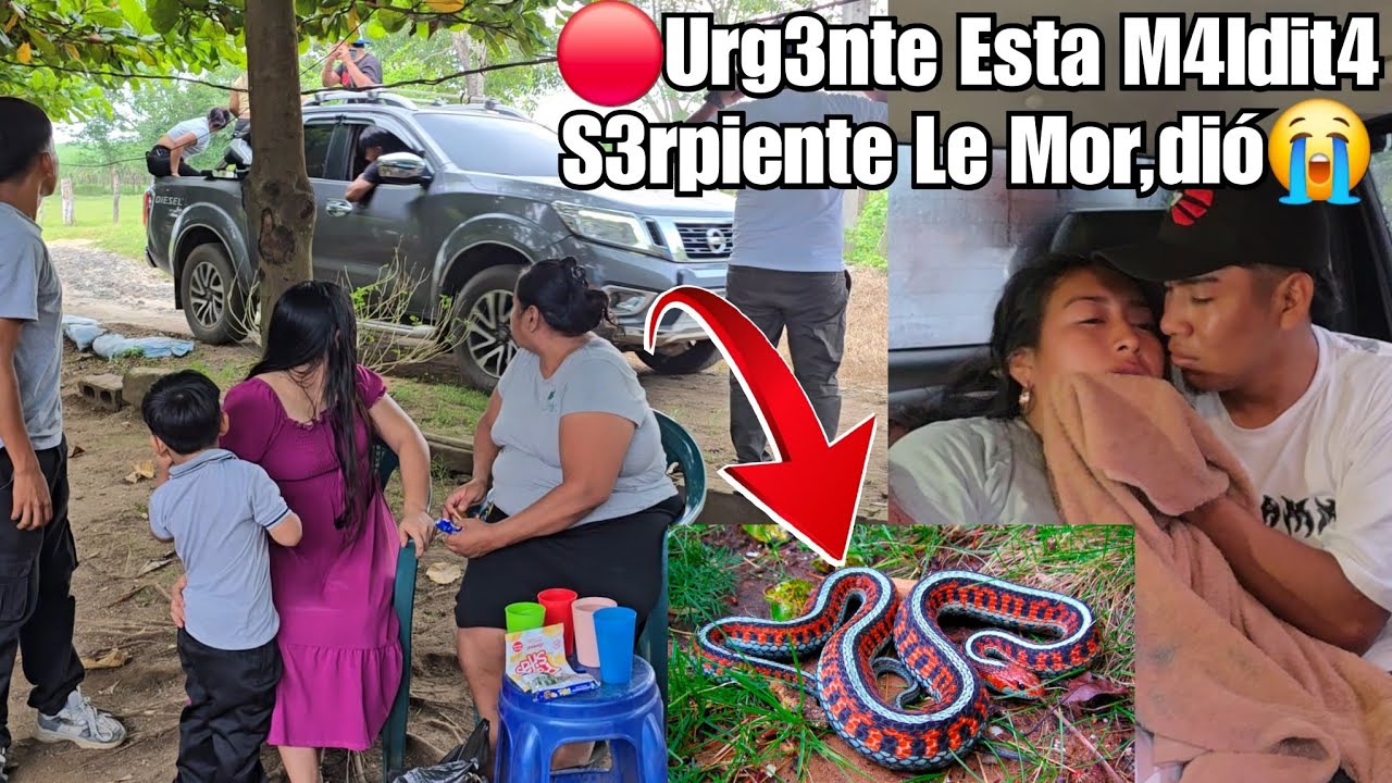 🚨Urg3ntemente Llevamos a ELISA al S4NATORIO😭 le Mor,dió Esta S3RPIENTE🐍 esta Entre la Mu3rte💔😭😭