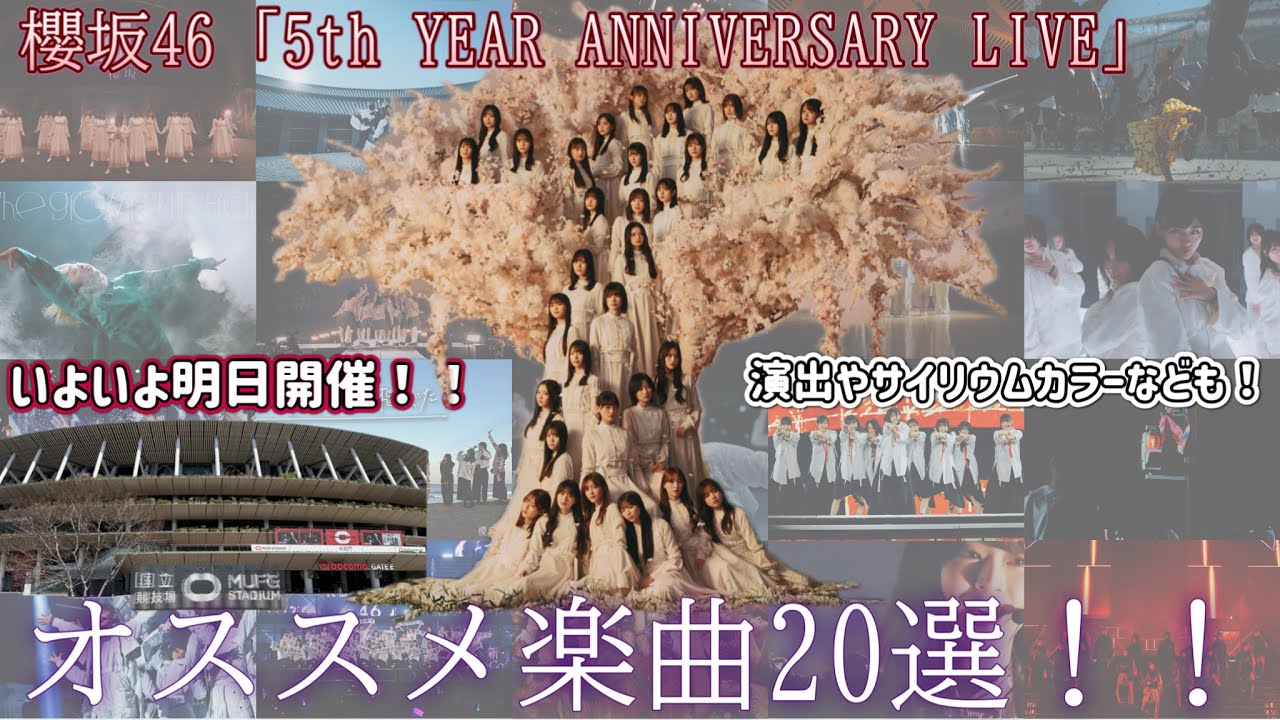 【櫻坂46】いよいよ明日アニラ開催！！櫻坂楽曲のサイリウムカラーや演出オススメ20選！！！(個人的)