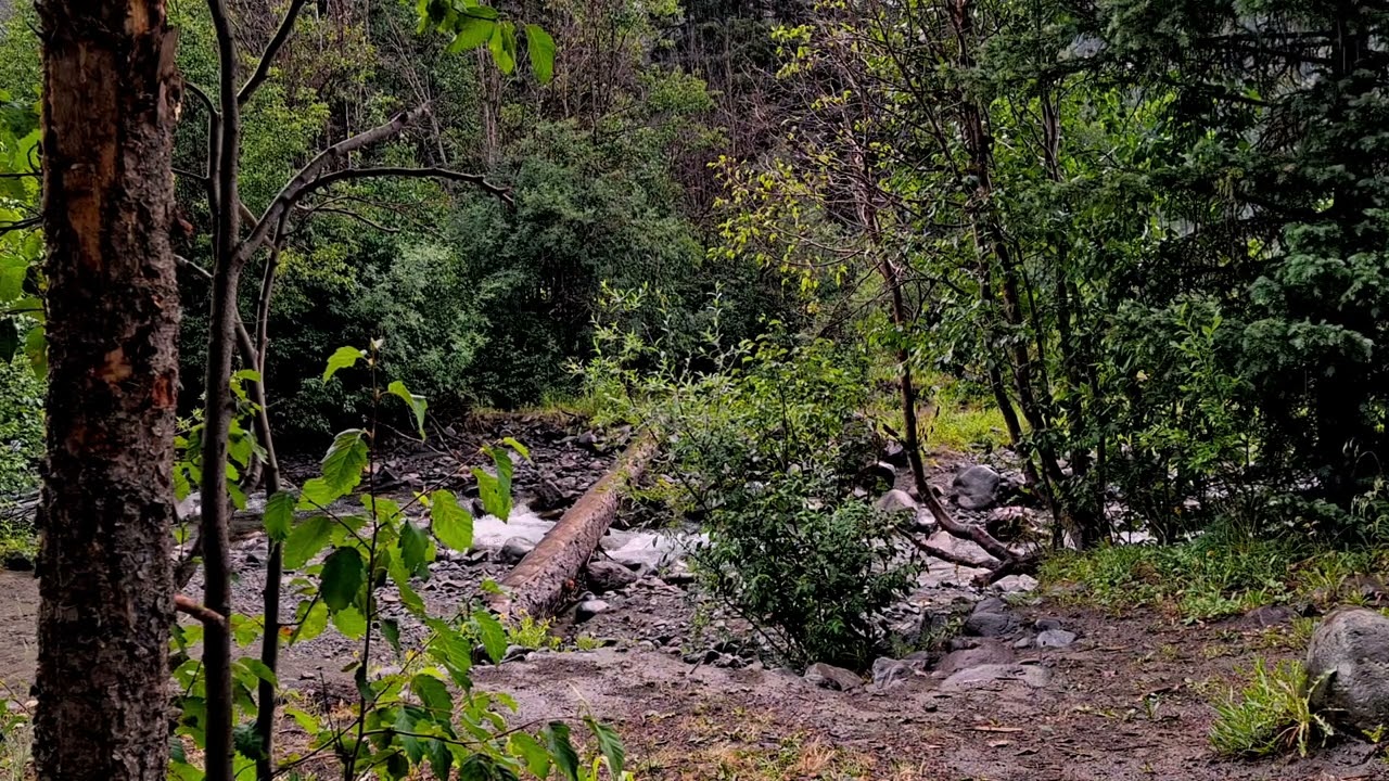 Thirty Minutes Of Woodland River & Rain Sounds