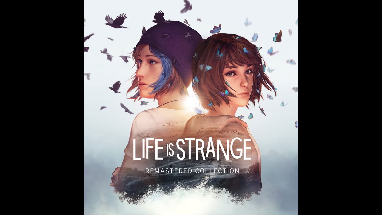 Life stranger
